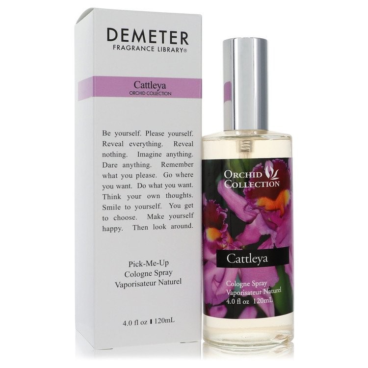 Cattleya Orchid By Demeter