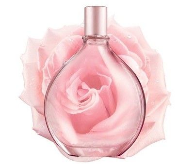 Pure Dkny A Drop Of Rose By Dkny