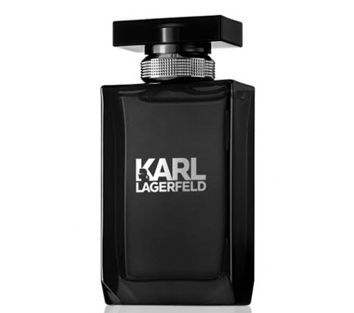 Karl Lagerfeld Pour Homme By Karl Lagerfeld 100ml EDTS Mens Fragrance