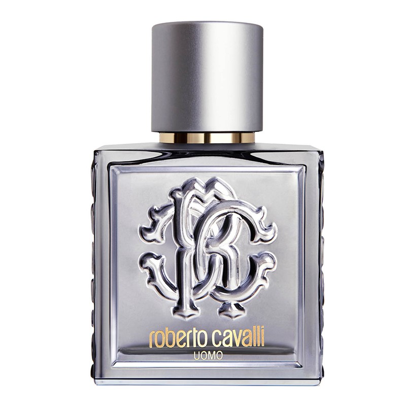 Roberto Cavalli Uomo Silver Essence By Roberto Cavalli 