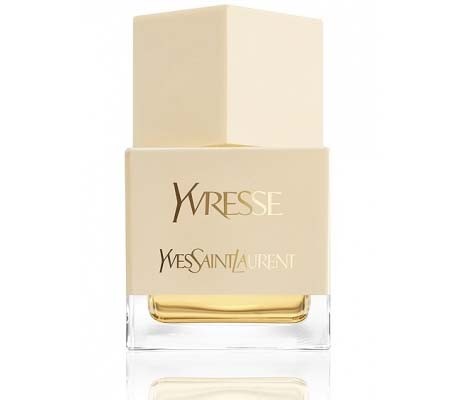Yves saint laurent shop la collection y
