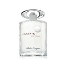 Incanto Pour Homme By Salvatore Ferragamo