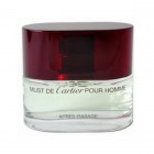 Must Pour Homme By Cartier 100ml Edts Mens Fragrance