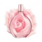 Pure Dkny A Drop Of Rose By Dkny 100ml Edps Womens Perfume