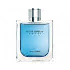 Silver Shadow Altitude By Davidoff 100ml Edts Mens Fragrance