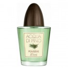Acqua di Pino Fougere By Pino Silvestre 125ml Edcs Mens Fragrance