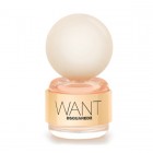 Want By Dsquared2 100ml Edps Womens Perfume