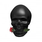 Ed Hardy Skulls And Roses Men By Christian Audigier 75ml Edts Mens Fragrance
